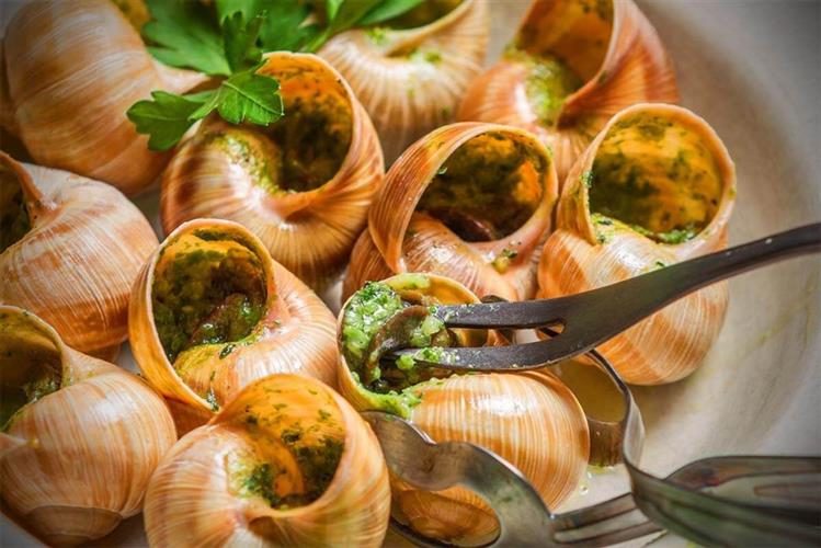 第3位 文章赞扬法国人将蜗牛等花园中的害虫，变成桌上的佳肴。 资料图片