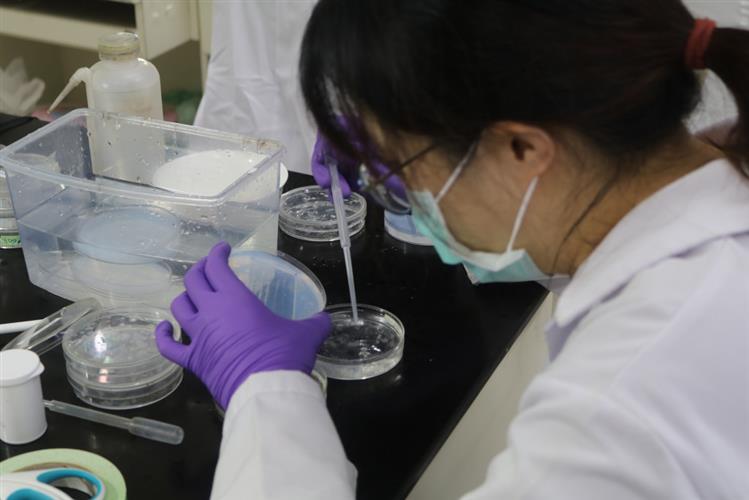 英美科学家成功利用干细胞创造出合成人类胚胎。