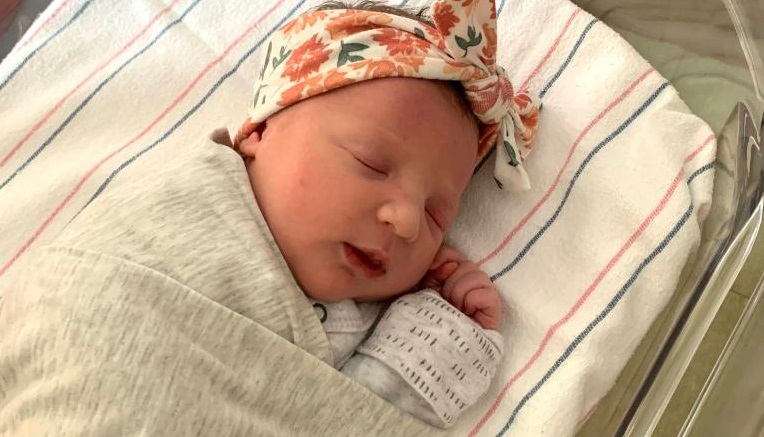 英美科学家成功利用干细胞创造出合成人类胚胎。