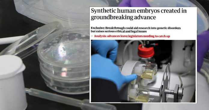 美英科学团队成功创造合成人类胚胎模型  或引发严重道德法律争议