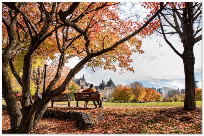 我们是第一！加拿大跻身全球最宜居城市前十名