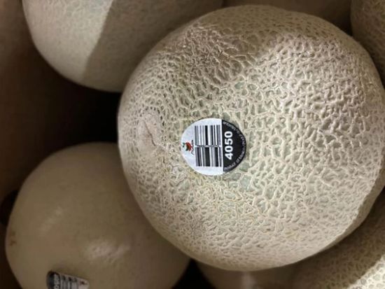 BC省持续爆发沙门氏菌感染 当局警告勿食Malichita进口哈密瓜