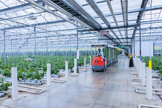 BC省新一代农民获联邦和BC省政府资金支持