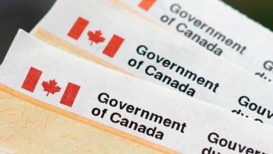 联邦增加获免费自动报税服务名额 谁有资格获得？