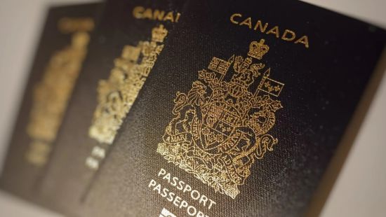 拿了加拿大护照就回流？最新统计数据显示：这类人只是少数