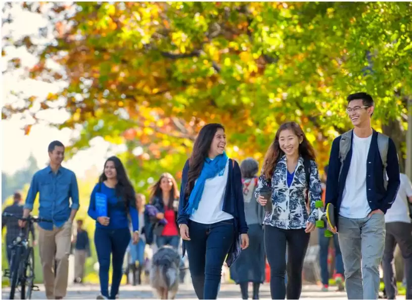 美国正将国际学生推给加拿大 教育机构吁联邦政策松绑