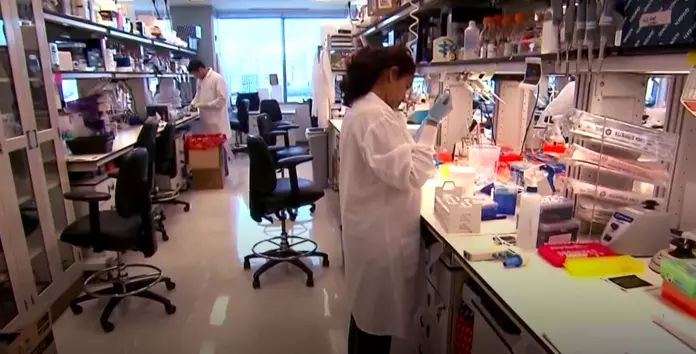 新报告指子宫颈癌发病率不再下降　专家忧2040年难达消除目标