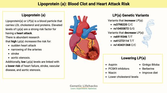 一个简单验血就能预防心脏病: 所有加拿大人尽早筛查!
