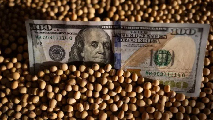 特朗普盼中国增4倍美大豆定单 以减少贸易逆差