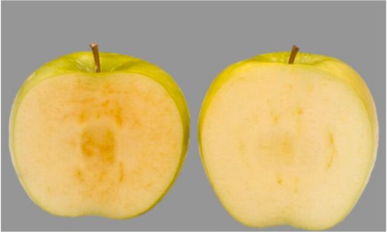 基改水果敢吃吗？一种不会变色的苹果将在加拿大上架销售