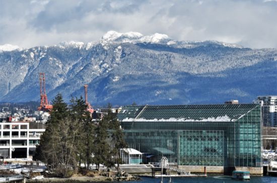 温哥华终于要下雪了?气温骤降冰点,43年无雪纪录能否打破?