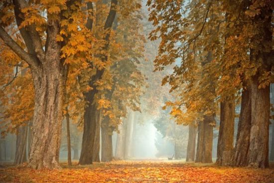 多伦多及周边5个公园是欣赏秋色的绝佳地点
