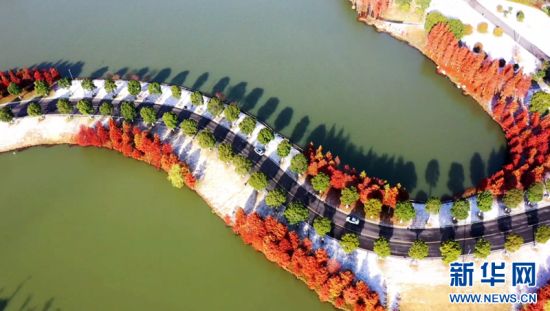 中国安徽颍上：雪后初霁 湿地如画