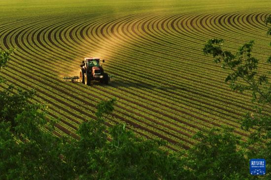 诗意中国丨农历五月
