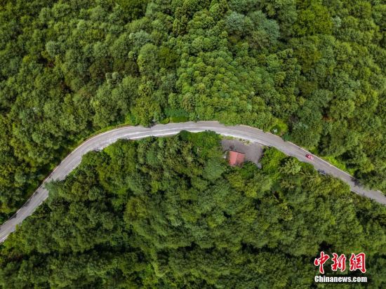 贵州毕节：航拍拱拢坪林海 景色怡人