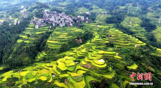 广西三江：侗乡梯田美如画
