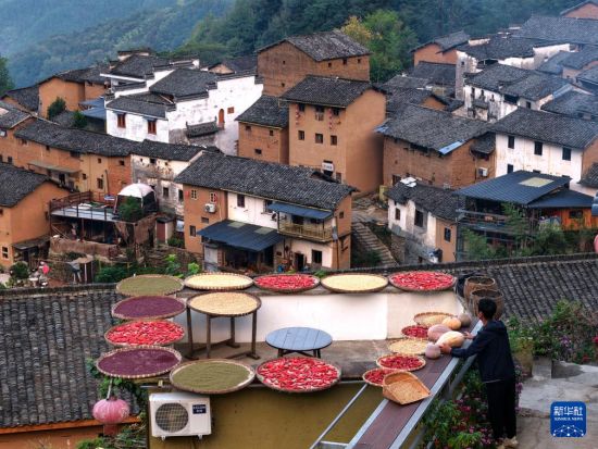 丰收节前后，这里藏着皖南最“红火”的秋