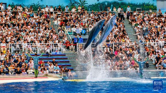 乐享假期（二）