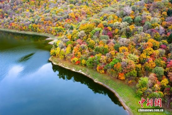 吉林白山：秋染白山湖风景区 彩林宛如大自然的调色盘
