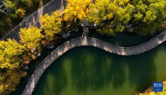 美丽中国：塞上湖城秋意浓