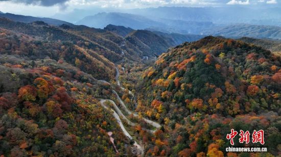 四川旺苍米仓山万山红遍 游客陶醉彩林间