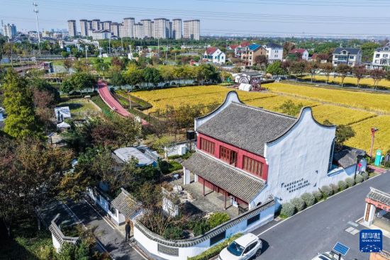 浙江嘉兴：推进“千万工程” 助力乡村振兴