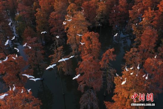 夏天不开空调开车真的能省油吗？
