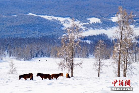 阿勒泰：穿越北疆之北 在冰天雪地里解锁“冬日童话”