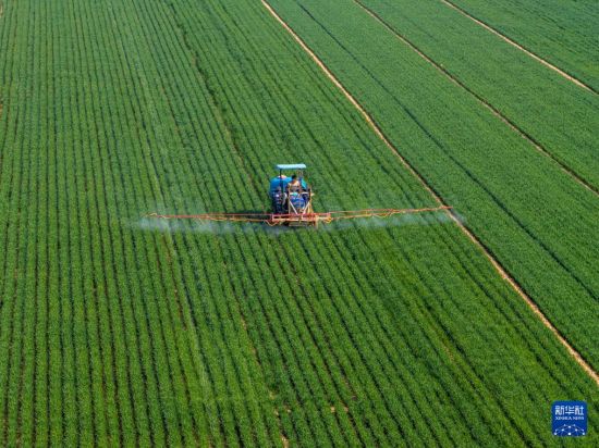 春风和煦耕作忙