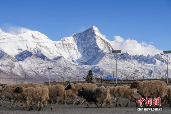 西藏亚东：卓木拉日雪山春日风光美如画