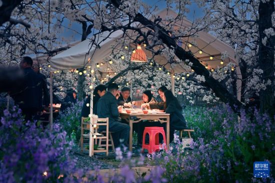 安徽砀山：梨花盛开点燃春日经济 