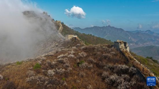 夏天不开空调开车真的能省油吗？