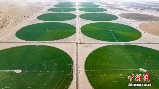 沙地变良田 塔克拉玛干沙漠边缘现“绿色圆盘”