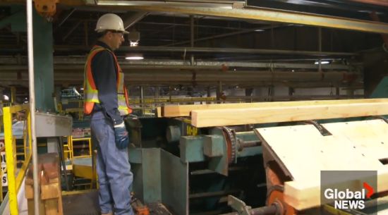 扛不住了! BC省宣布: 放弃抵抗美国! 不再追加报复!