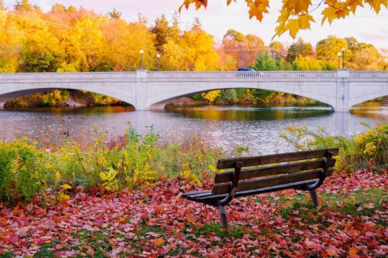 加拿大新预算：老人福利没涨，公务员50岁就能领全额退休金！