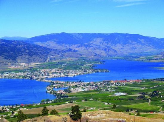 美国不喜欢加拿大人：加美关系紧张雪鸟族改变出行计划