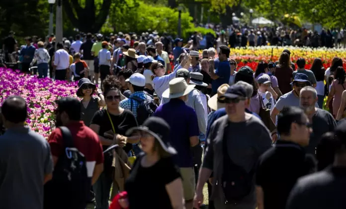 加拿大持续人口零增长 影响经济发展