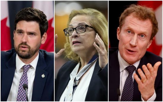 博励治致函卡尼促撤换三名部长　批留学生计划管理失当应问责