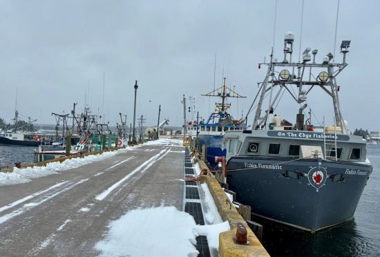 加拿大龙虾出口断崖式下跌后反转：中国暂停征关税救了渔业