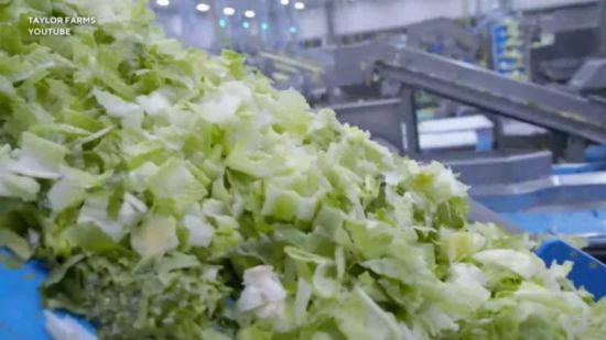 美国生菜疫情致近7000人感染! 加拿大Costco顾客恐慌: 宁可全扔