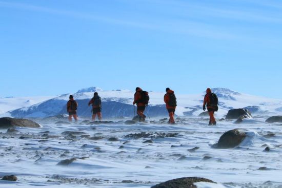 跨越三十余年！中国考察队与阿德利企鹅的南极之约
