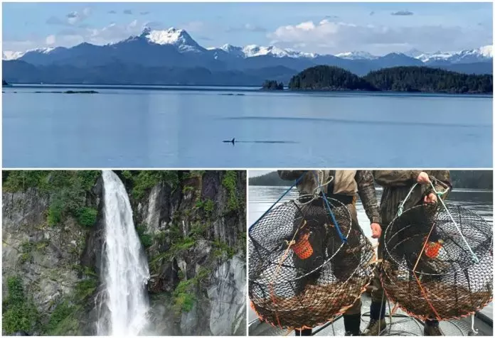 坐落原始森林边的百年木桥小镇 被誉为加拿大最美渔村之一