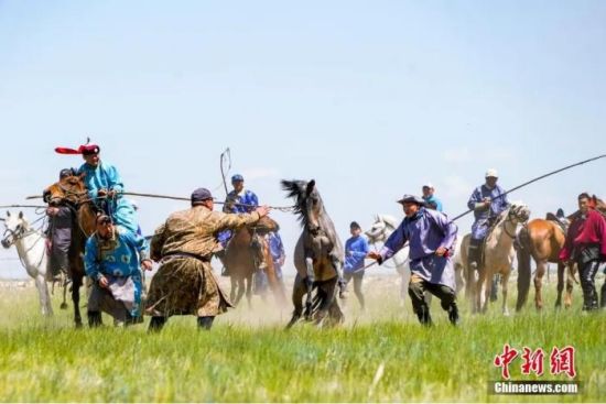 人这一辈子，一定要去一趟锡林郭勒看那达慕！