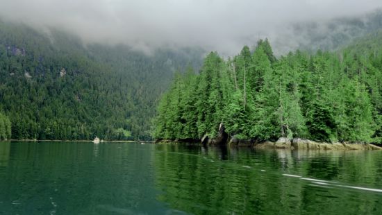 加拿大秋天有多惊艳？与鲸鱼、棕熊和极光的不期而遇