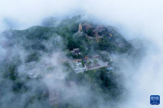 甘肃平凉：千沟万壑间滋养出一座高原绿岛