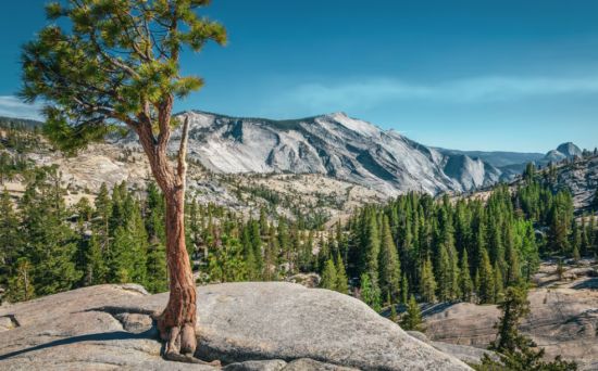 下周开始加拿大人游览美国国家公园将需支付3倍的费用