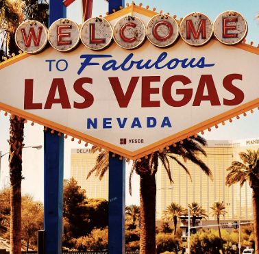 加拿大人重返赌城？“加元当美元花”！却有游客虐待火烈鸟