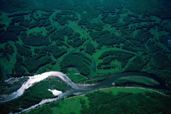 绿海生“金”——中国最大国有林区兼顾保护与发展