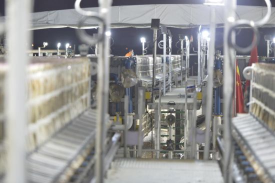 太湖新生记：一湖清水的绿色攻坚战