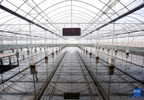 一“小”一“大”看经济大省乡村产业振兴